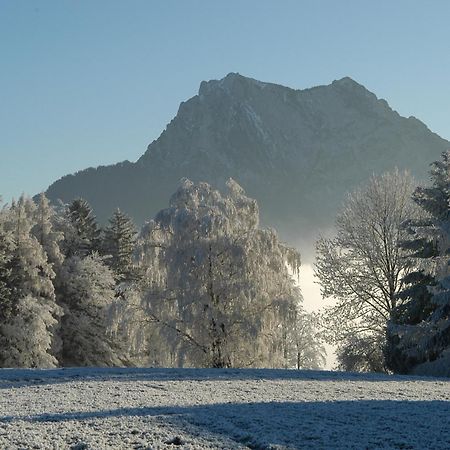 Hotel Altmuensterhof Екстериор снимка