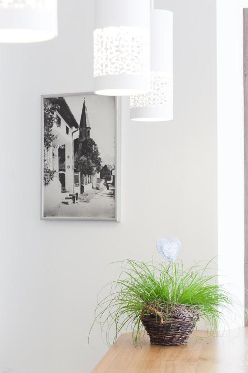Hotel Altmuensterhof Екстериор снимка